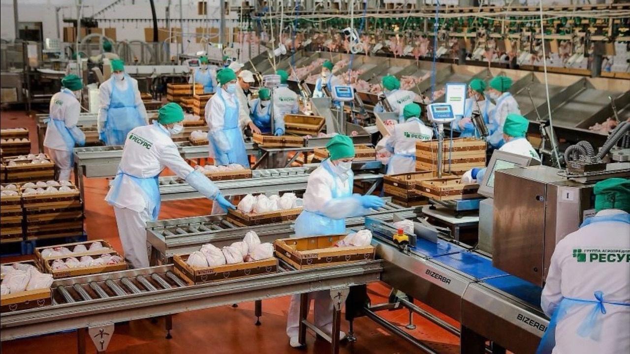 Линия переработки птицы